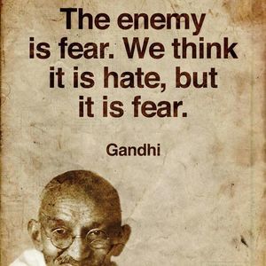 Meet your Posher, Delfa